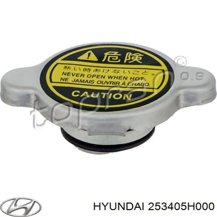 253405H000 Hyundai/Kia кришка/пробка радіатора