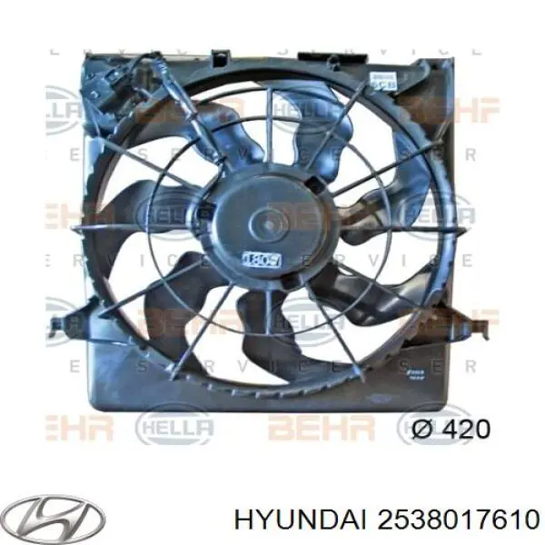 2538017610 Hyundai/Kia дифузор радіатора охолодження, в зборі з двигуном і крильчаткою