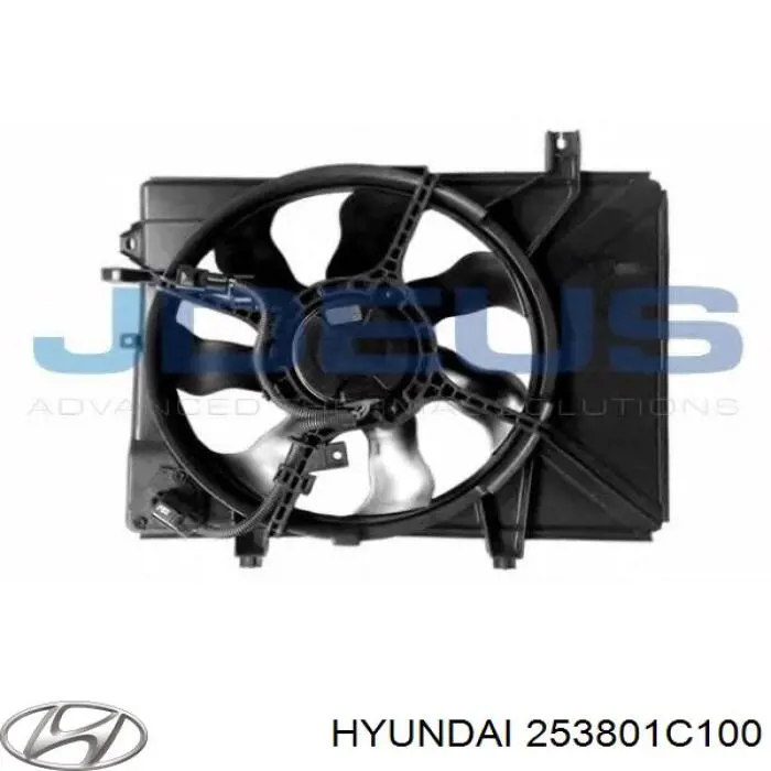 Купити 253801C100 Hyundai/Kia Дифузор радіатора охолодження, в зборі з двигуном і крильчаткою