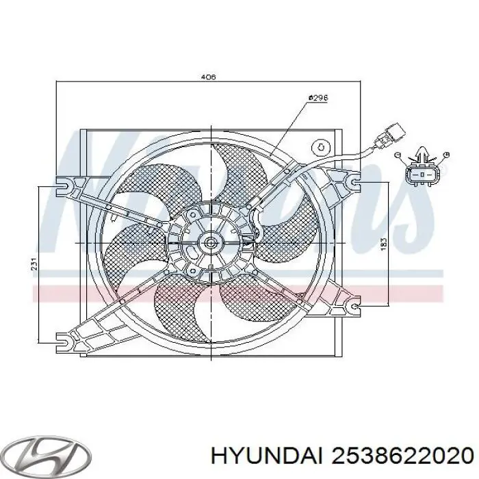 2538622020 Hyundai/Kia дифузор (кожух радіатора охолодження)
