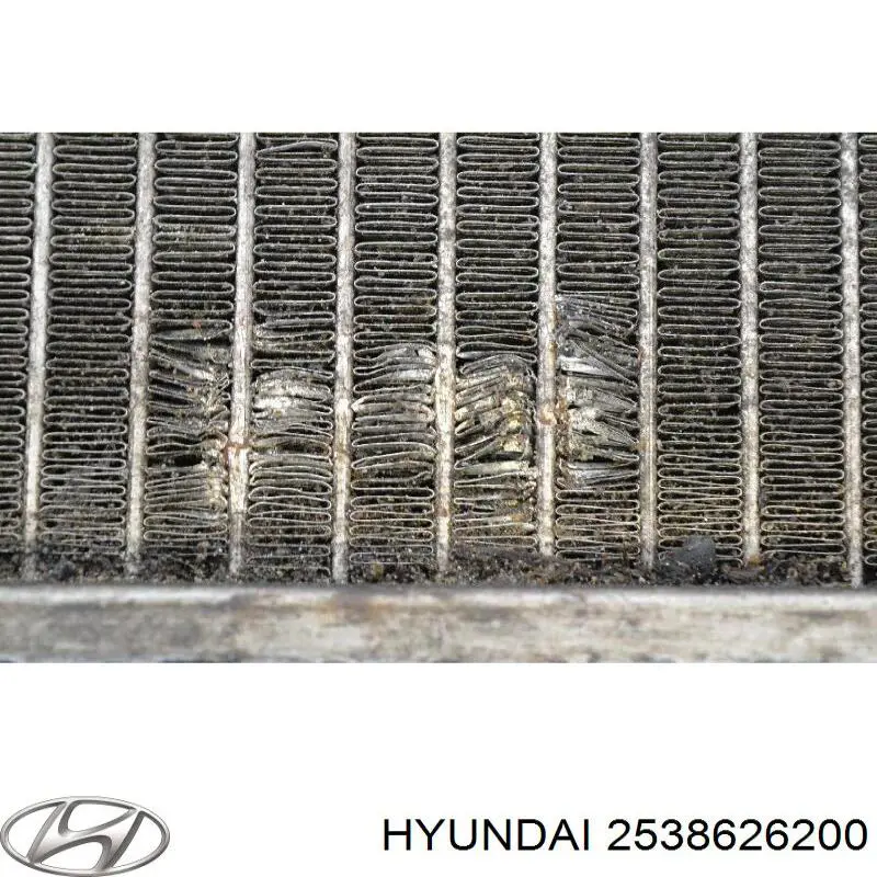 Двигун вентилятора системи охолодження Hyundai/Kia 2538626200