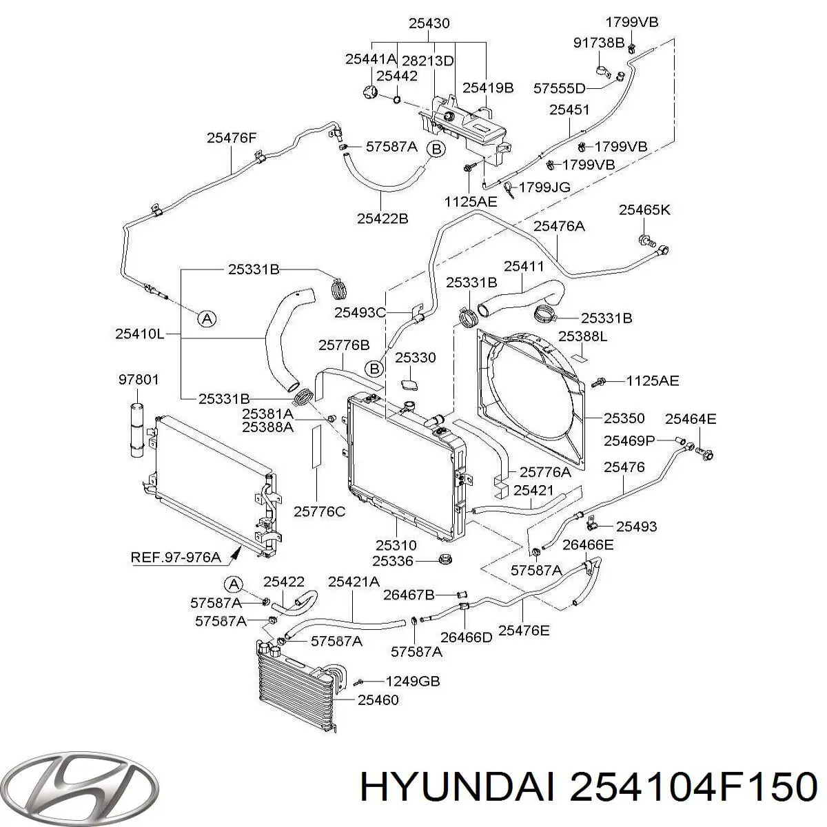 254104F150 Hyundai/Kia шланг/патрубок радіатора охолодження, нижній