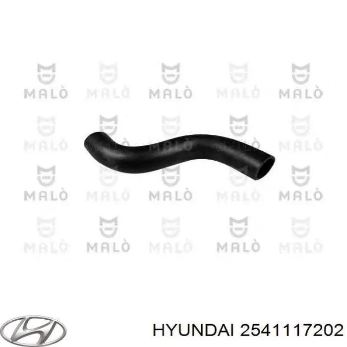 Патрубок системи охолодження Hyundai/Kia 2541117202 ціна, від 3.62 USD