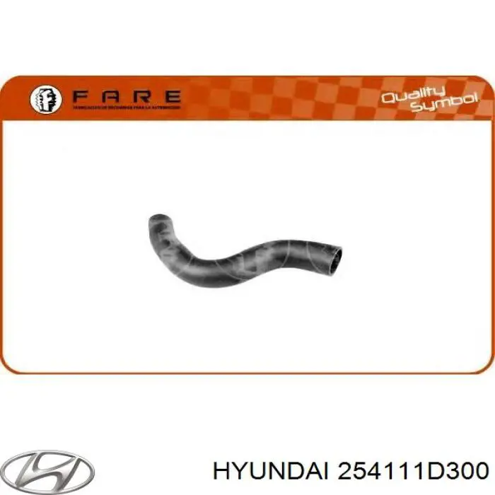 254111D300 Hyundai/Kia Шланги системи охолодження