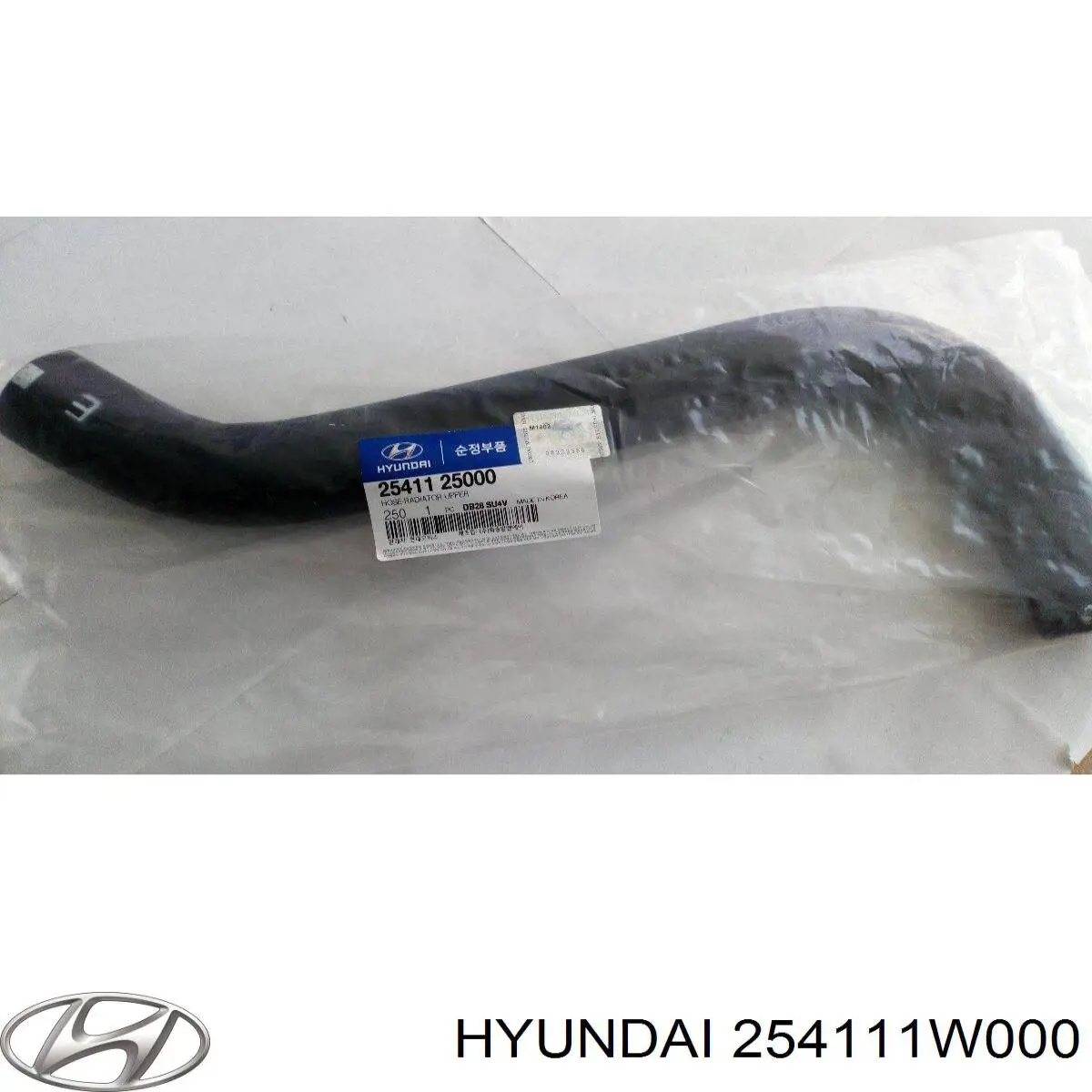  254111W000 Hyundai/Kia