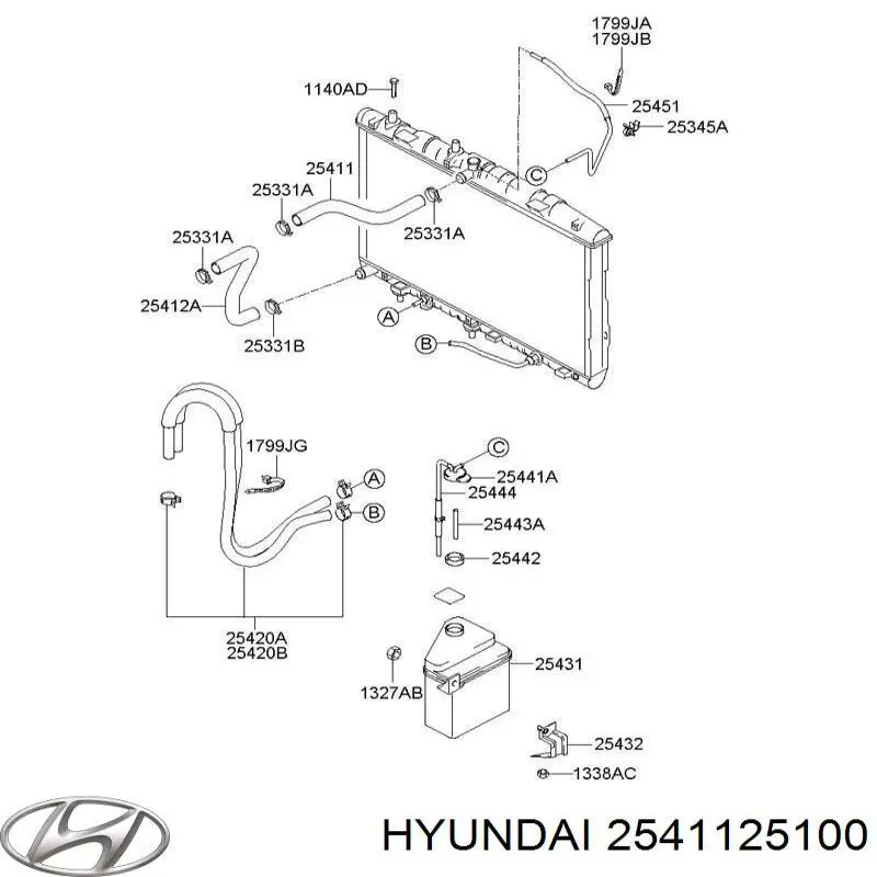 2541125100 Hyundai/Kia шланг/патрубок радіатора охолодження, верхній