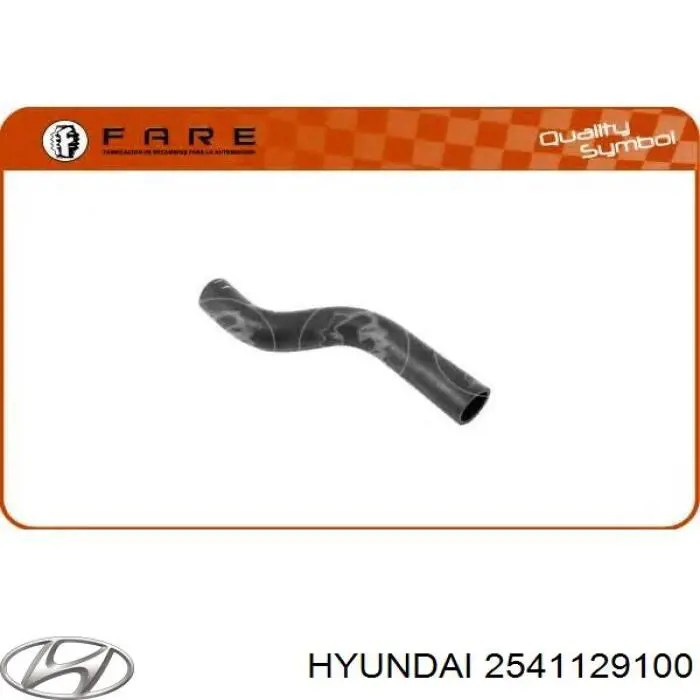 Купити 2541129100 Hyundai/Kia Шланг/патрубок радіатора охолодження, верхній