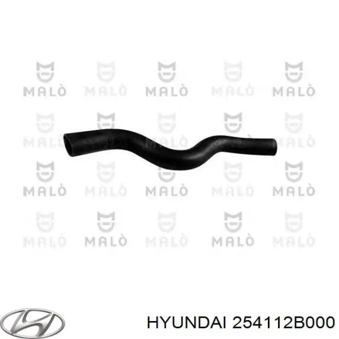 Шланг/патрубок радіатора охолодження, верхній Hyundai/Kia 254112B000 ціна, від 5.98 USD