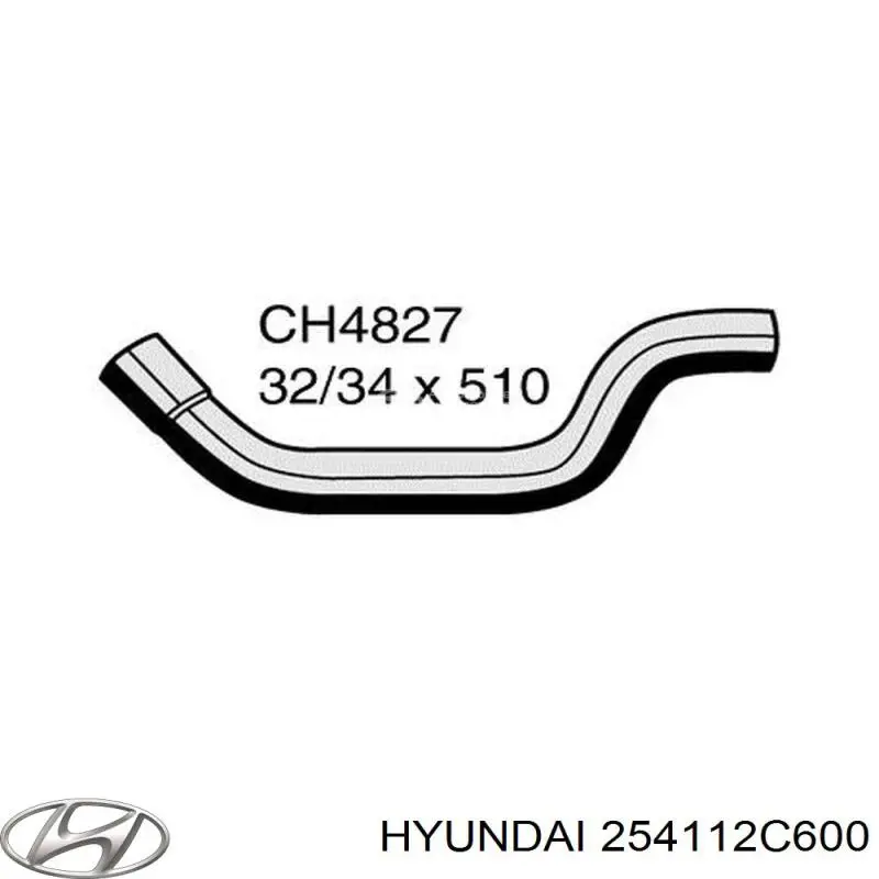  254112C600 Hyundai/Kia