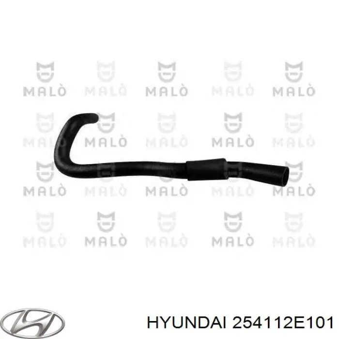 Купити 254112E101 Hyundai/Kia Шланг/патрубок радіатора охолодження, верхній