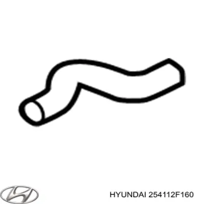 254112F160 Hyundai/Kia Патрубок системи охолодження