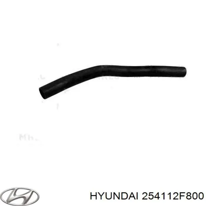 Шланг/патрубок радіатора охолодження, верхній 254112F800 Hyundai/Kia