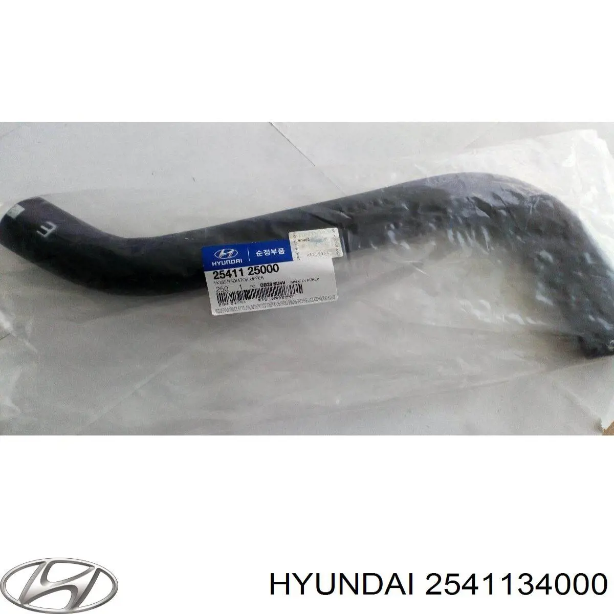  2541134000 Hyundai/Kia