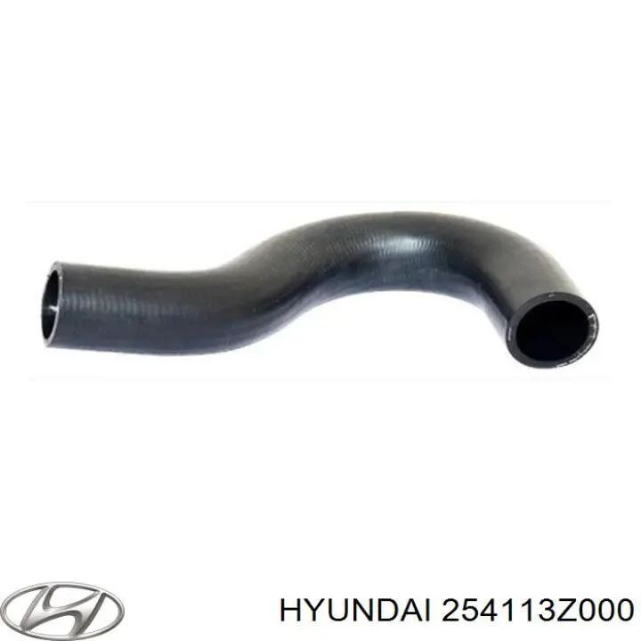 Шланги системи охолодження Hyundai/Kia 254113Z000 ціна, від 26.94 USD