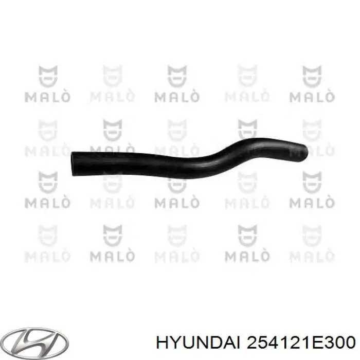 254121E300 Hyundai/Kia Шланг/патрубок радіатора охолодження, нижній