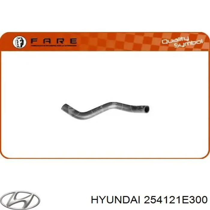Купити 254121E300 Hyundai/Kia Шланг/патрубок радіатора охолодження, нижній