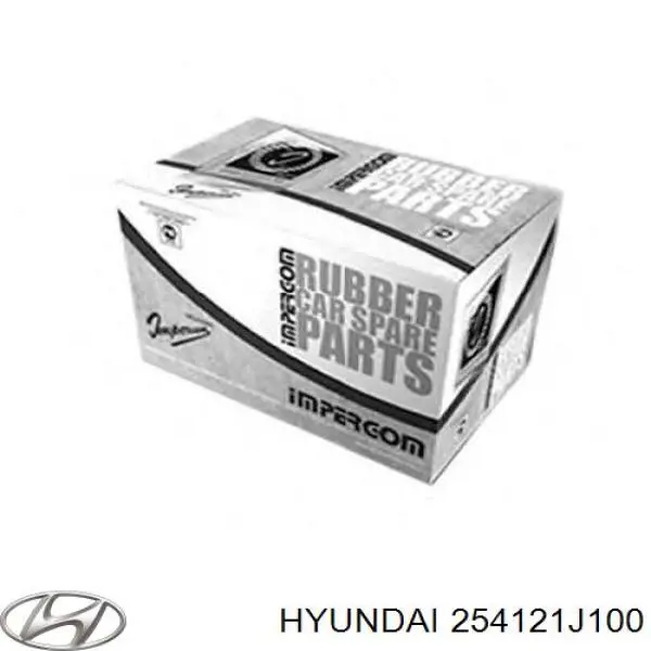  254121J100 Hyundai/Kia