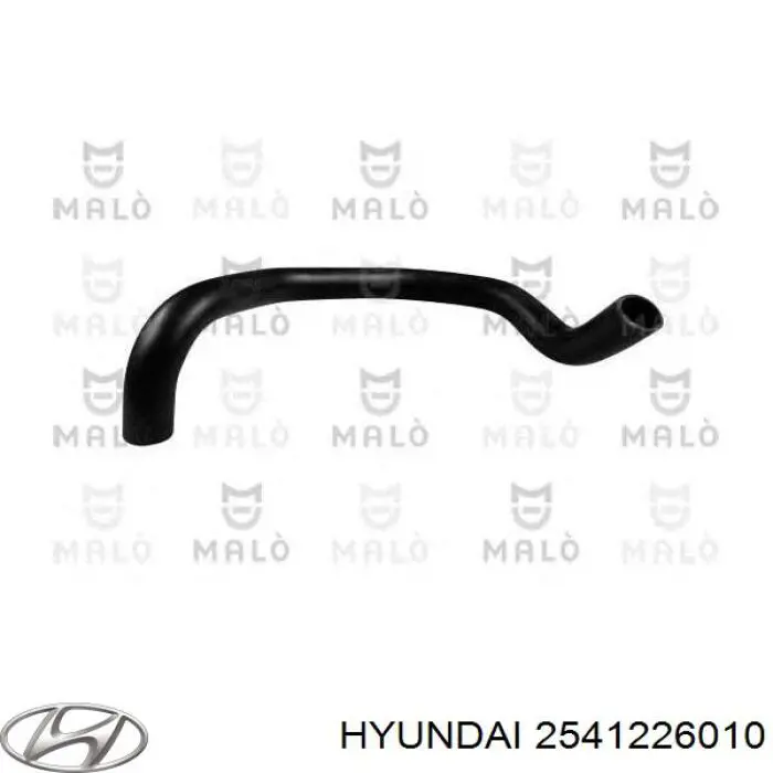 Купити 2541226010 Hyundai/Kia Шланг/патрубок радіатора охолодження, нижній