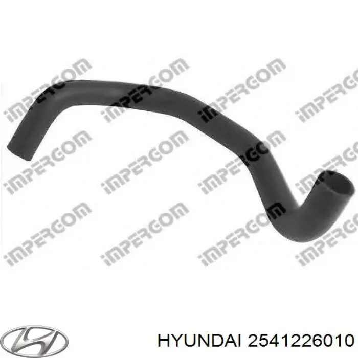 Шланг/патрубок радіатора охолодження, нижній Hyundai Santa Fe 1 (Хендай Санта фе)