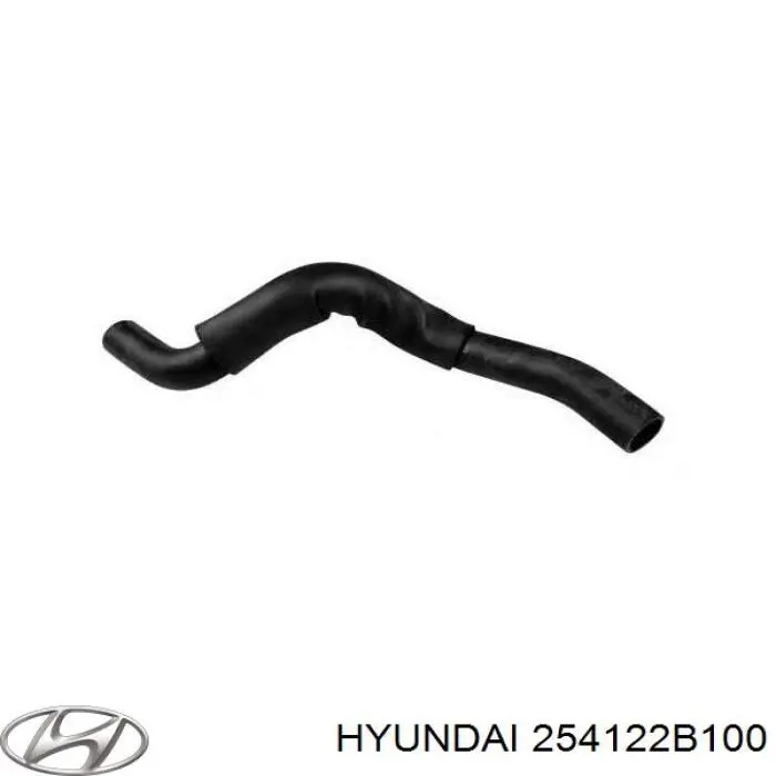  254122B100 Hyundai/Kia