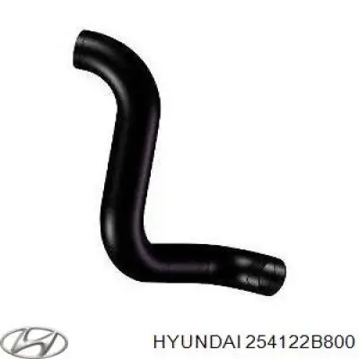 254122B800 Hyundai/Kia Шланг/патрубок радіатора охолодження, нижній
