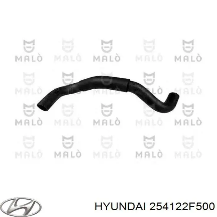 Шланг/патрубок радіатора охолодження, нижній Hyundai/Kia 254122F500 ціна, від 18.14 USD