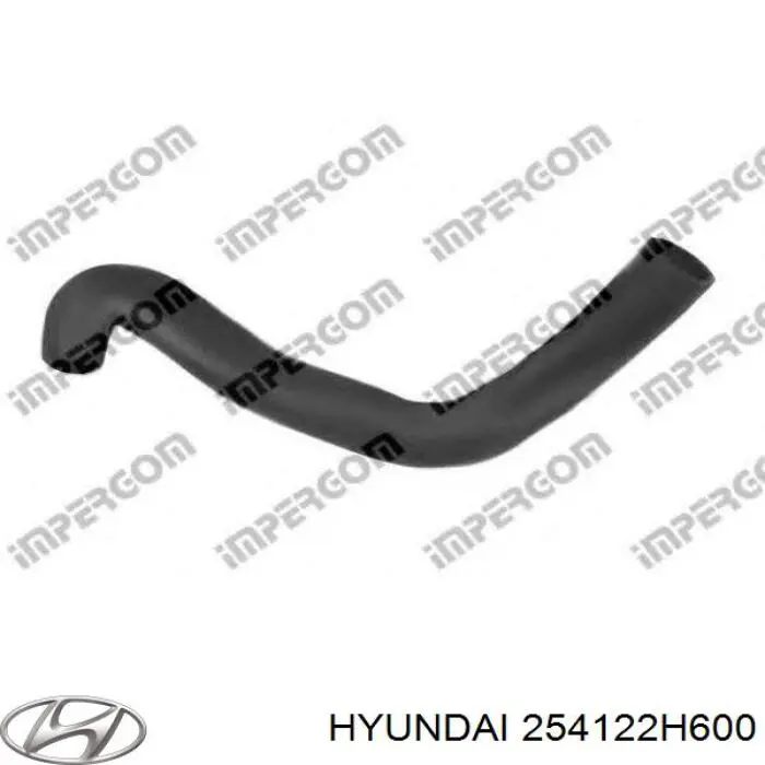 254122H600 Hyundai/Kia Шланг/патрубок радіатора охолодження, нижній