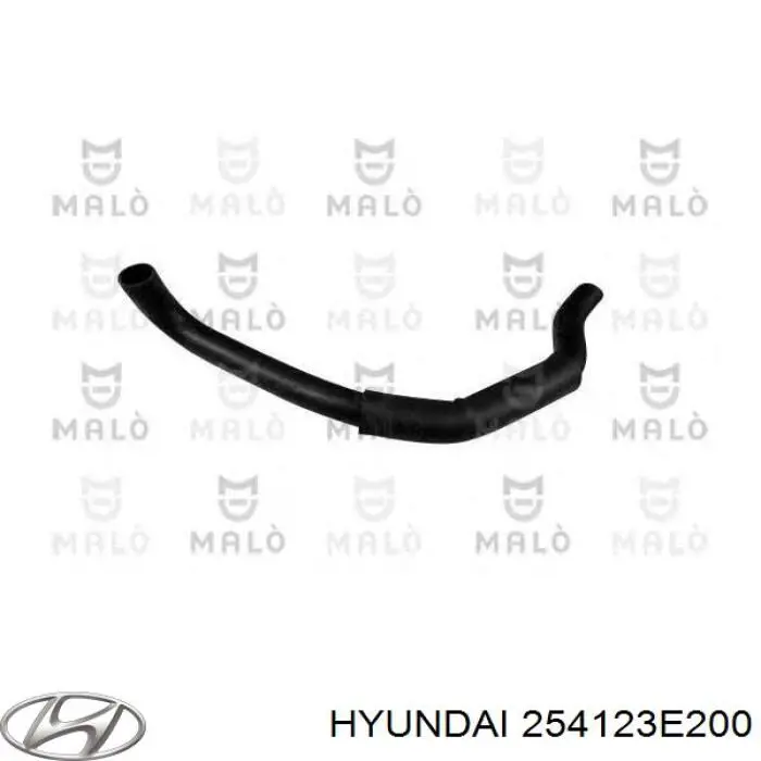 Купити 254123E200 Hyundai/Kia Шланг/патрубок радіатора охолодження, нижній