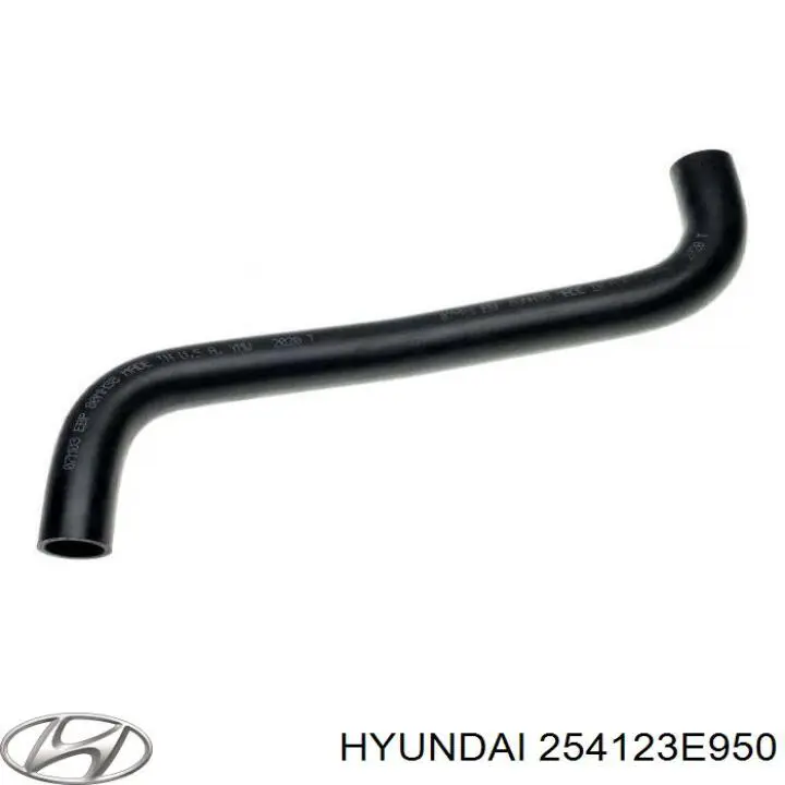 254123E950 Hyundai/Kia 