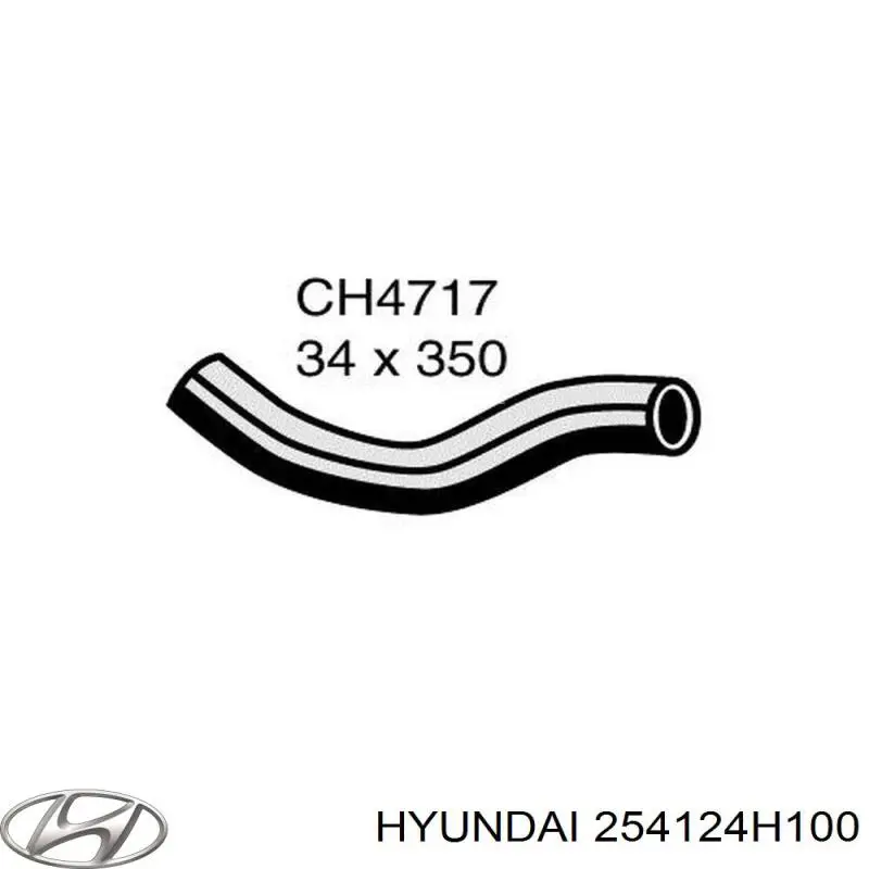 254124H100 Hyundai/Kia шланг/патрубок радіатора охолодження, нижній