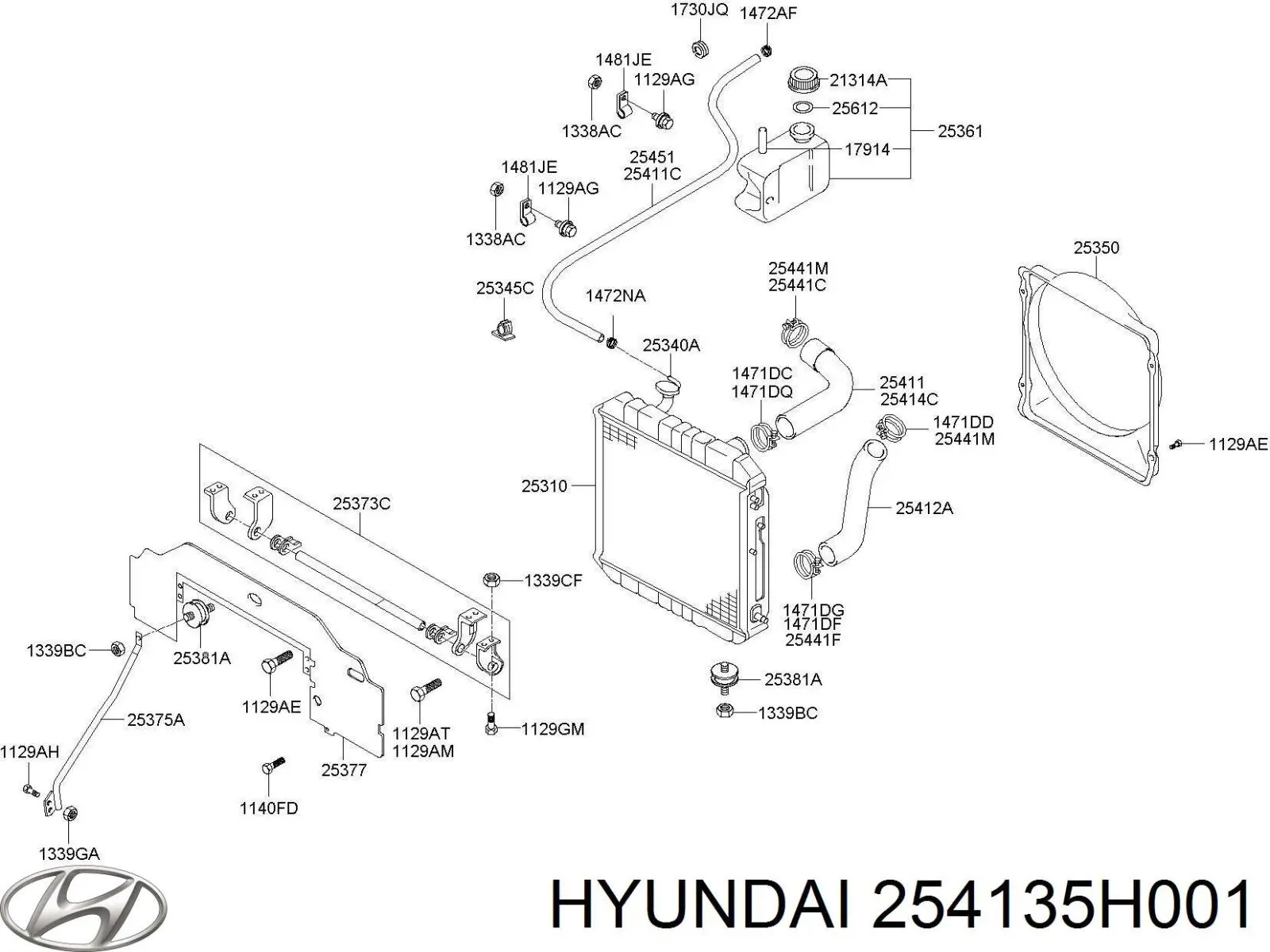254135H000 Hyundai/Kia шланг/патрубок радіатора охолодження, нижній