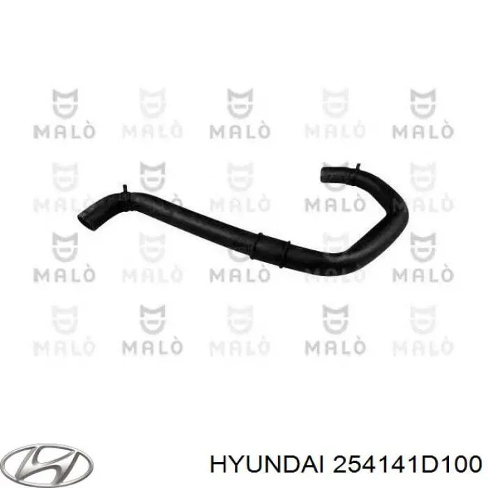 254141D100 Hyundai/Kia Шланг/патрубок радіатора охолодження, верхній