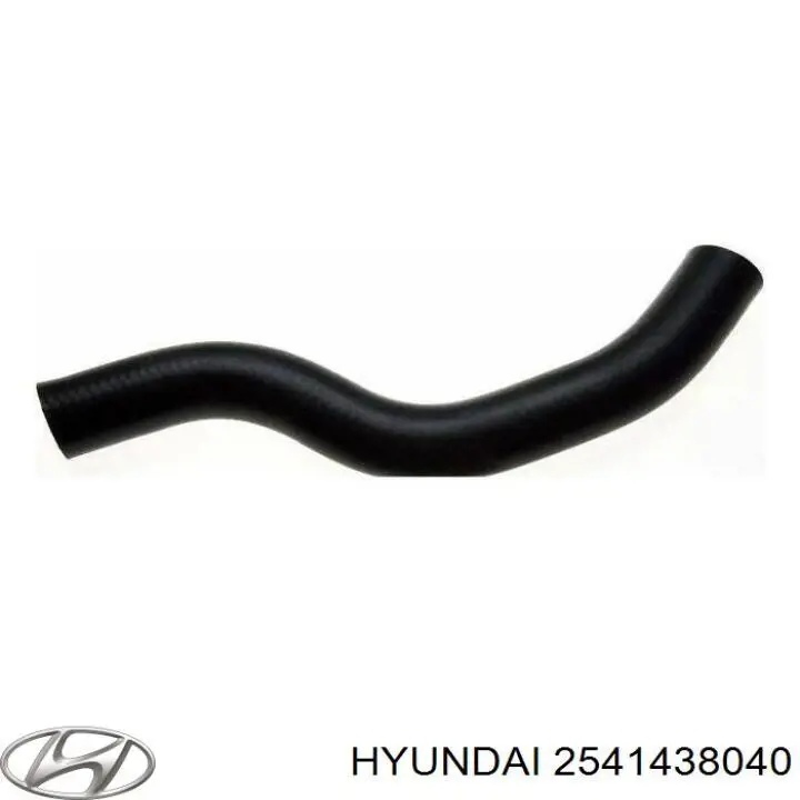 Шланг/патрубок радіатора охолодження, верхній 2541438040 Hyundai/Kia