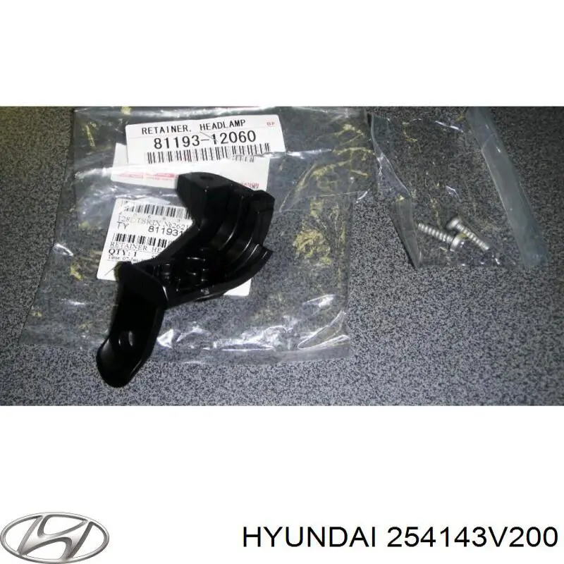 254143V200 Hyundai/Kia Патрубок системи охолодження