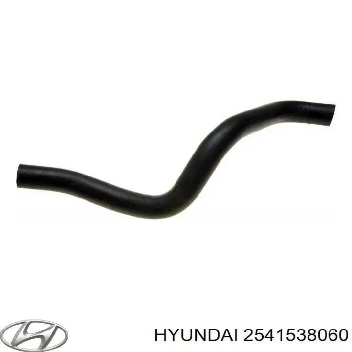 Купити 2541538060 Hyundai/Kia Шланг/патрубок радіатора охолодження, нижній