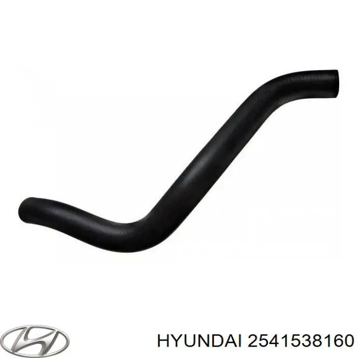 2541538160 Hyundai/Kia 