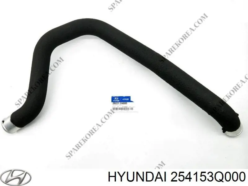 Купити 254153Q000 Hyundai/Kia Шланг/патрубок радіатора охолодження, нижній