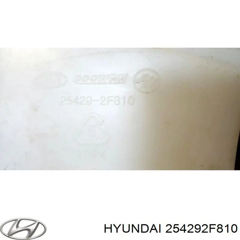 254292F810 Hyundai/Kia Розширювальний бачок охолодження