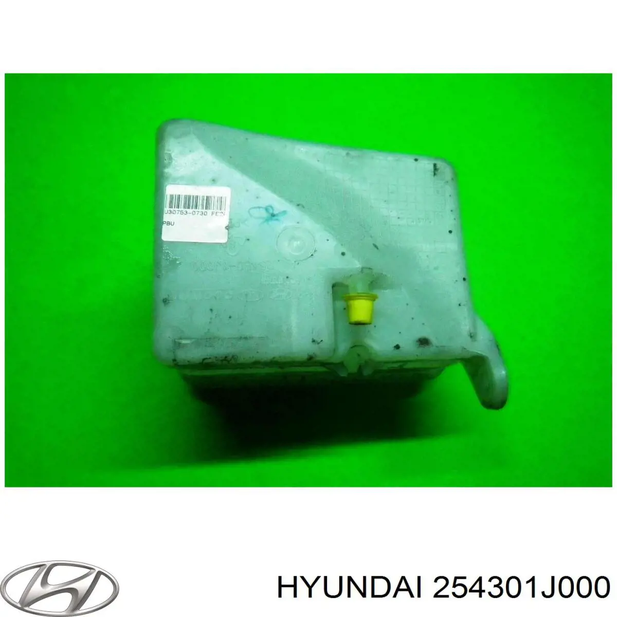 Бачок системи охолодження двигуна розширювальний Hyundai/Kia 254301J000 ціна, від 24.06 USD