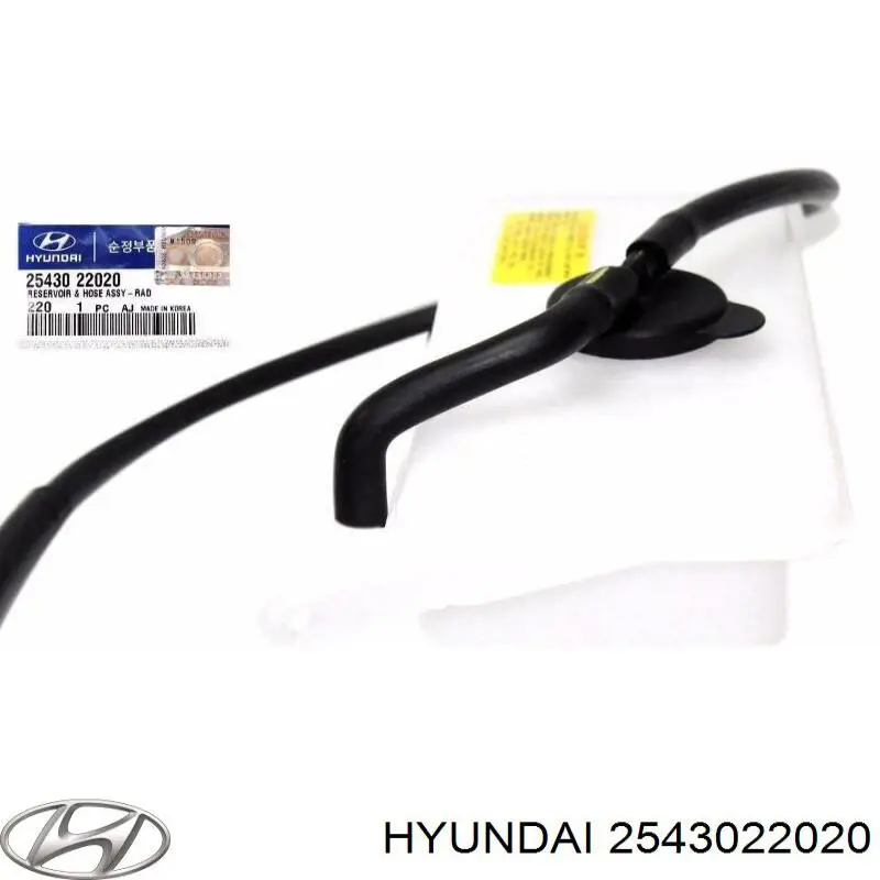 Бачок системи охолодження двигуна розширювальний Hyundai/Kia 2543022020 ціна, від 12.06 USD