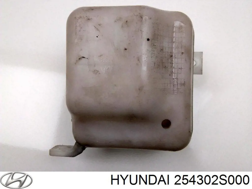 Купити Бачок системи охолодження Hyundai Tucson II TM