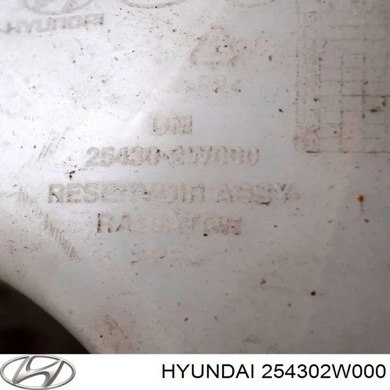 Бачок системи охолодження двигуна розширювальний Hyundai Santa Fe III позашляховик (DM) (2012 - 2018) ціна, від 6.06 USD