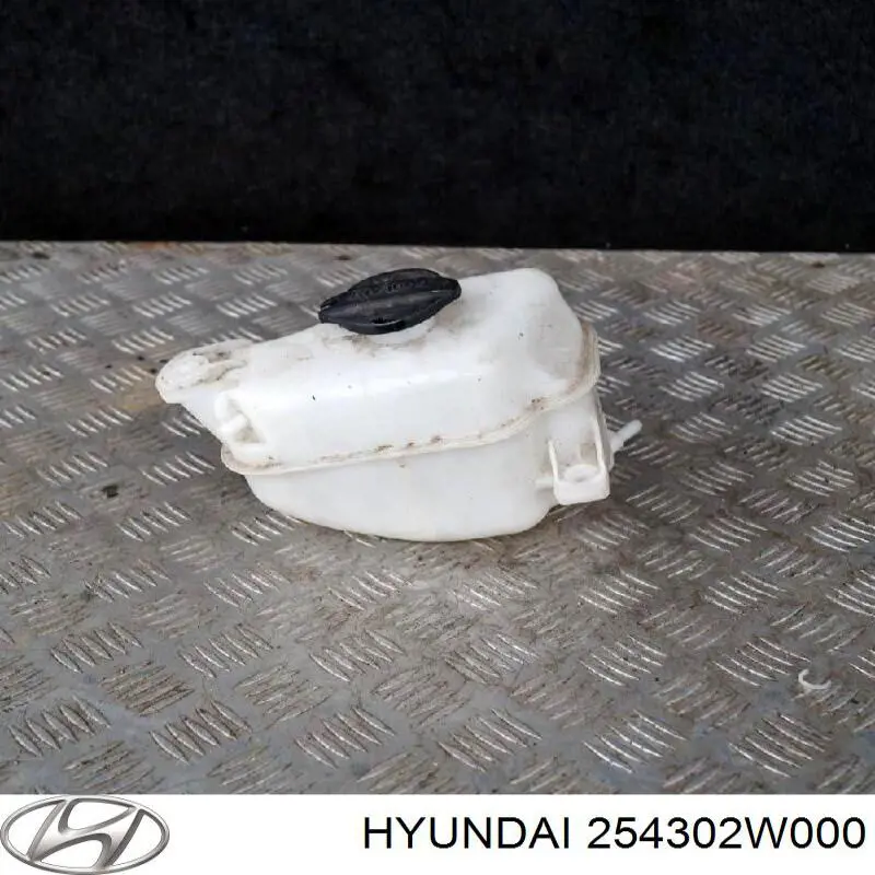 254302W000 Hyundai/Kia бачок системи охолодження, розширювальний