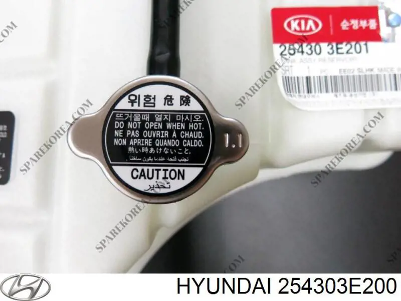 254313E201 Hyundai/Kia бачок системи охолодження, розширювальний