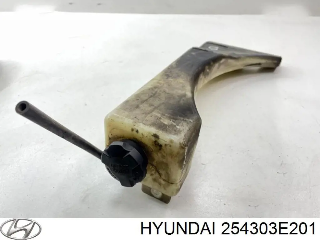 254303E201 Hyundai/Kia бачок системи охолодження, розширювальний