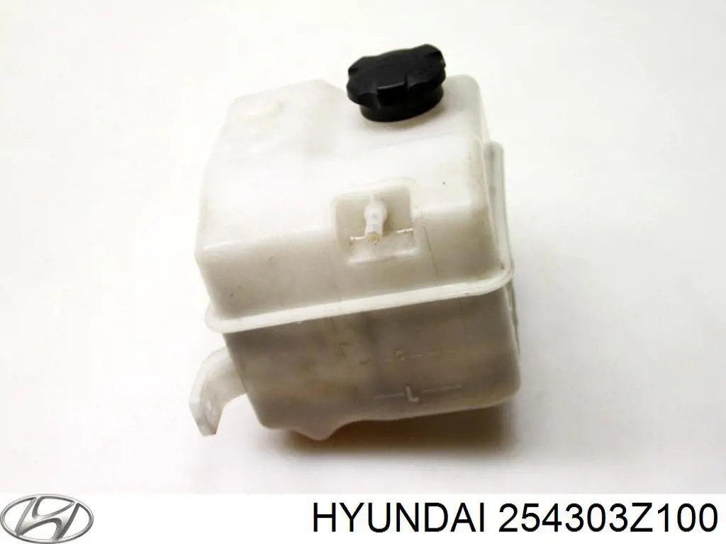 Бачок системи охолодження двигуна розширювальний Hyundai/Kia 254303Z100 ціна, від 25.14 USD