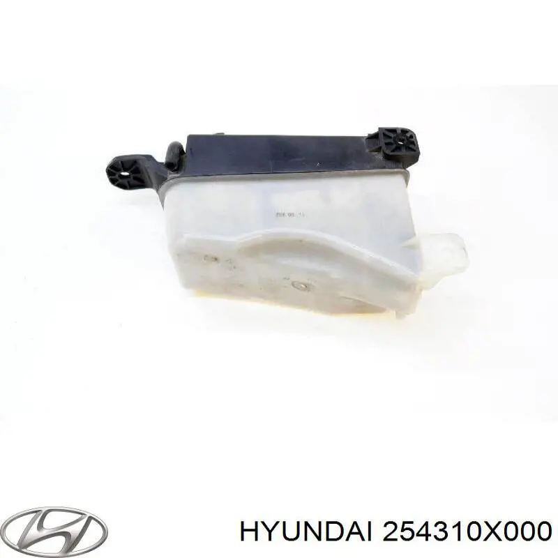 Бачок системи охолодження, розширювальний Hyundai I10 (PA) (Хендай Ай 10)