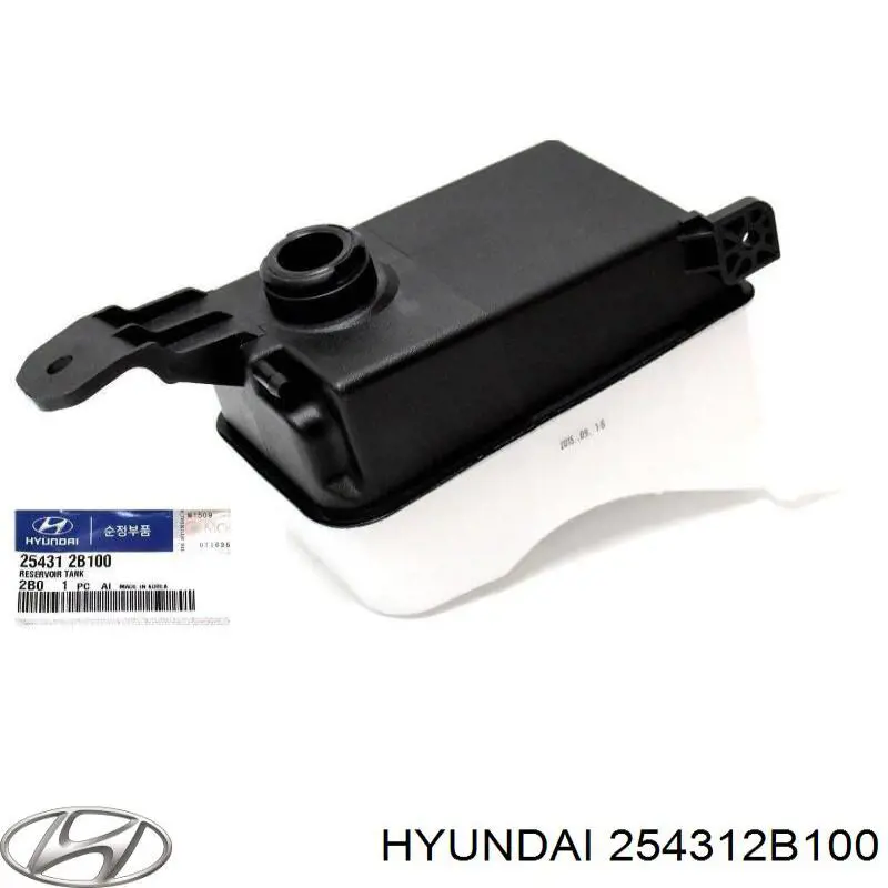 Бачок системи охолодження, розширювальний на Hyundai Santa Fe (CM)