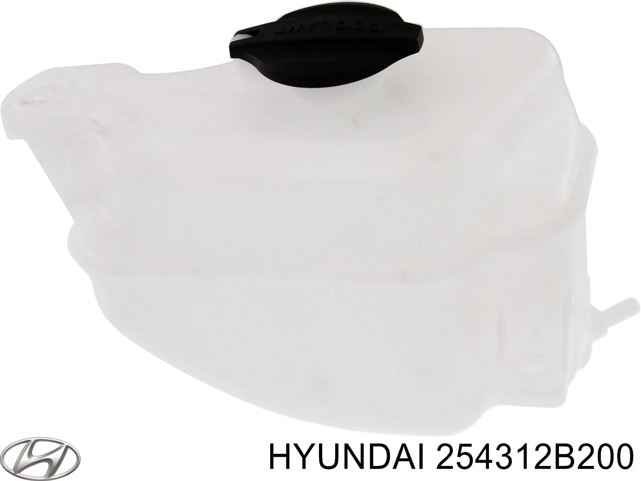Бачок системи охолодження 254312B200 Hyundai/Kia