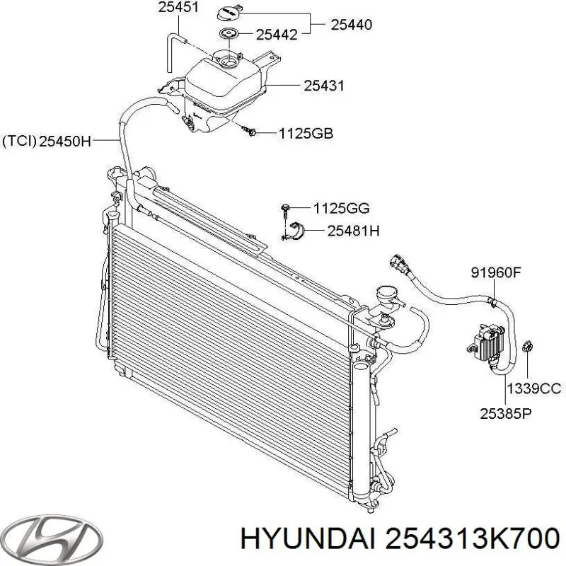 Бачок системи охолодження двигуна розширювальний Hyundai/Kia 254313K700 ціна, від 24.06 USD